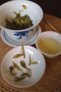 Brewing Songluo green tea in a gaiwan (lidded cup).