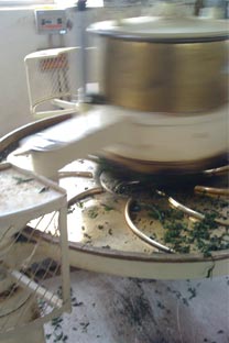 Tea leaves being rolled in machine.  The leaves are crushed to kick start the oxidation process.